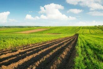 Agricultural landscape