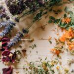 découvrez des remèdes naturels efficaces pour améliorer votre bien-être au quotidien. explorez des solutions à base de plantes, d'huiles essentielles et de techniques traditionnelles pour soulager divers maux et renforcer votre santé de manière naturelle.