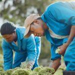 Promoting good health
